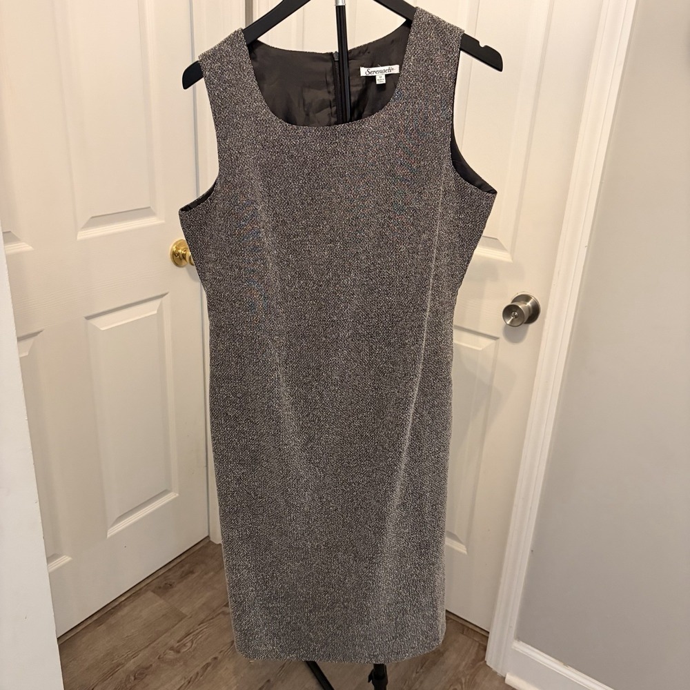 Serengeti Sleeveless Shimmer Shift Dress Silver Gray Cocktail Lined 12 Classic
